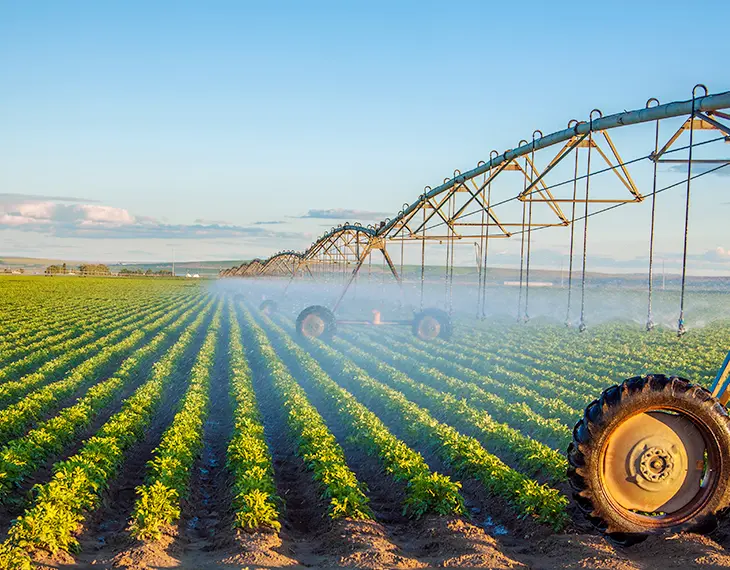 agriculture