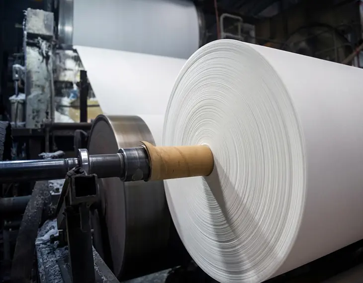 paper pulp timber industry